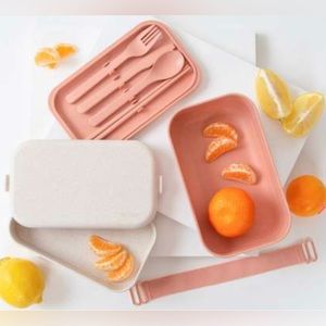 NEW Our Place Layered Lunchbox with Clips & Utensils